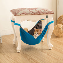 Who doesn't want to see their kitty in a hammock?