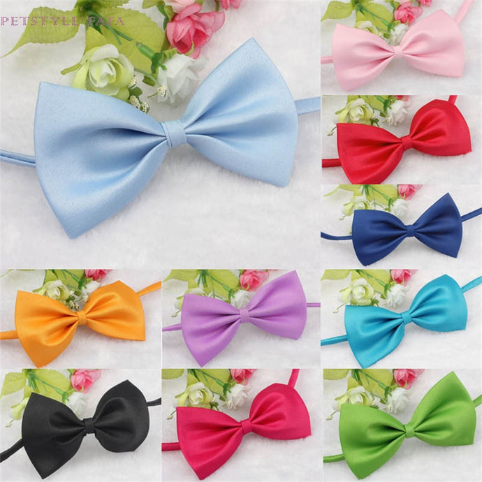 Who doesn't love a kitty in a bowtie?