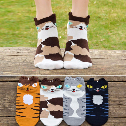 Cat socks!