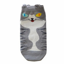 Cat socks!