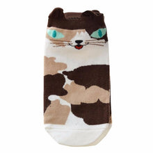 Cat socks!
