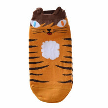 Cat socks!
