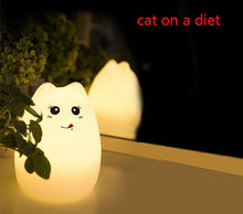 Adorable glowing kitty orbs!